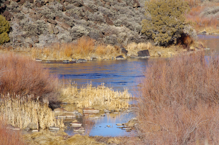 Rio Grande scene near Pilar, NM