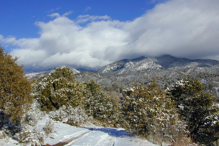 The road to La Lucita, our rented house in San Cristobal, NM in 2001.