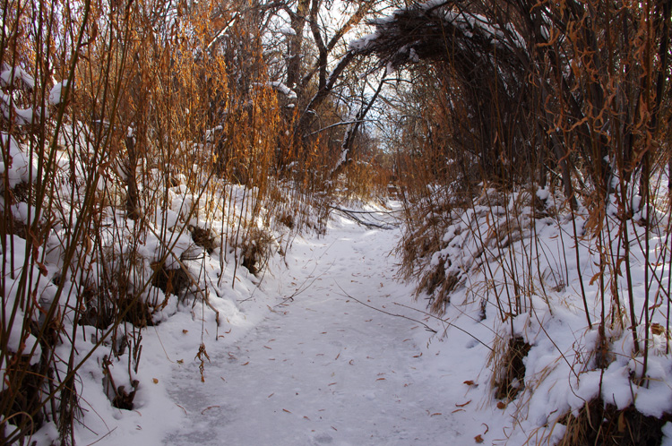 frozen acequia in Taos, New Mexico