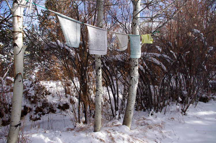 Down by the froze acequia in Llano Quemado.