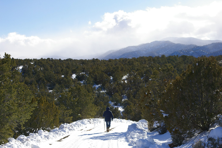 A walk in the snow near Taos, New Mexico.