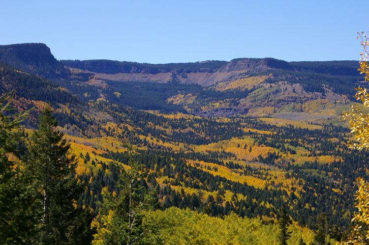 Gorgeous aspens and spruces on Highway 17 in Conejos County, CO.