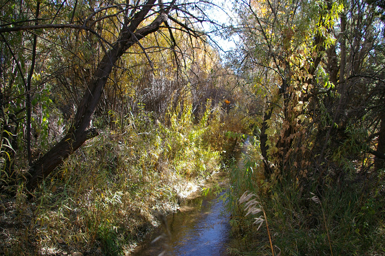 Acequia in late October, Taos, New Mexico