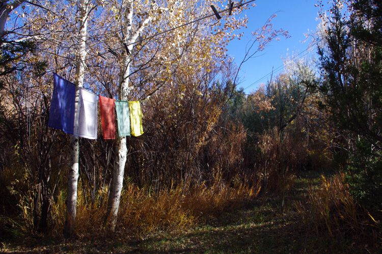 Acequia in late October, Taos, New Mexico