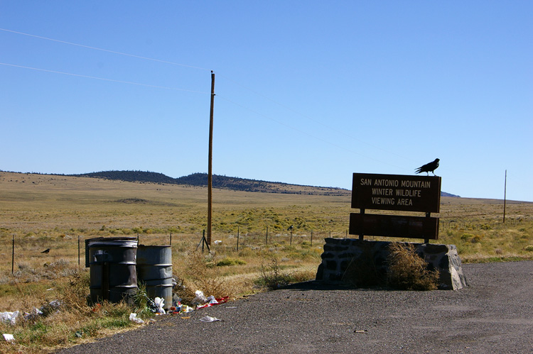 Ravens and trash cans near San Antonio Mountain, New Mexico