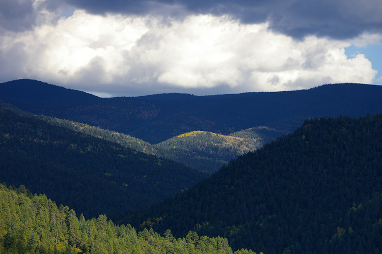 Aspens in fall colors as seen from Rt. 518 south of Taos, NM
