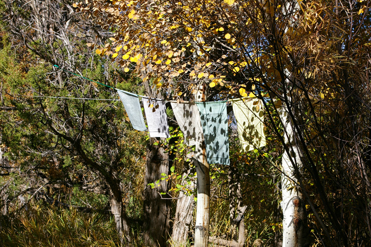 faded prayer flags in Taos, New Mexico