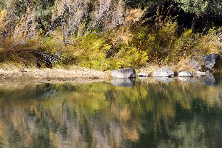 Rio Grande scene near Pilar, NM