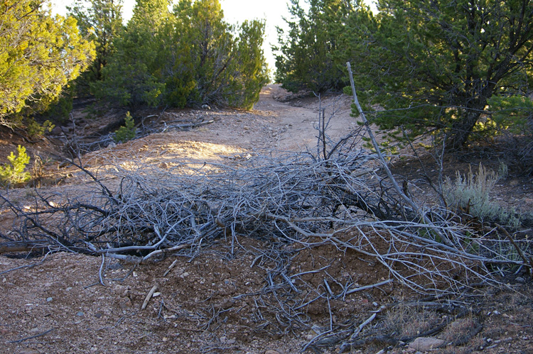 A four-foot deep trench filled with brush and barbed wire in Taos, New Mexico.