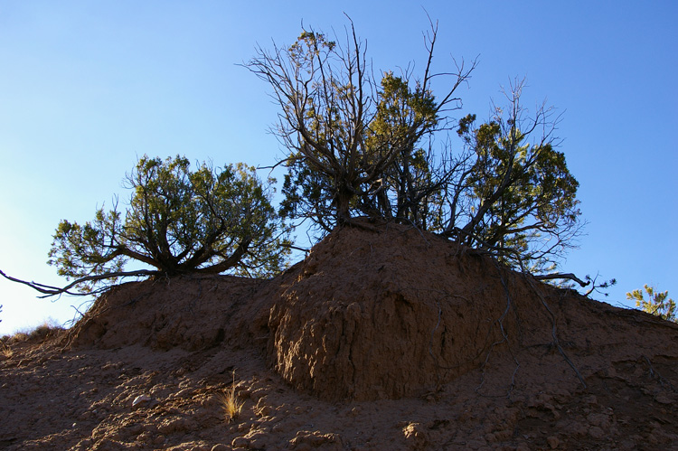 an arroyo south of Taos, New Mexico