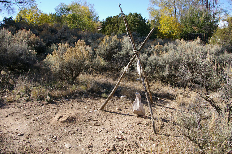 Ant Torture Art Machine in Taos, New Mexico