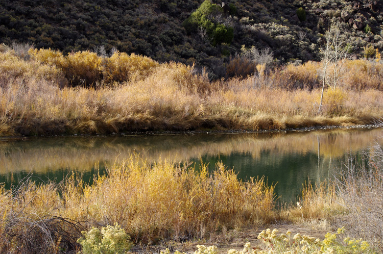 Rio Grande scene near Pilar, NM