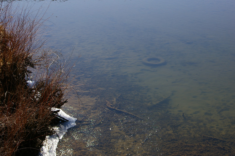 An old tire in the Rio Grande River