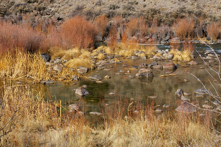 Along the Rio Grande River about five miles north of Pilar, NM