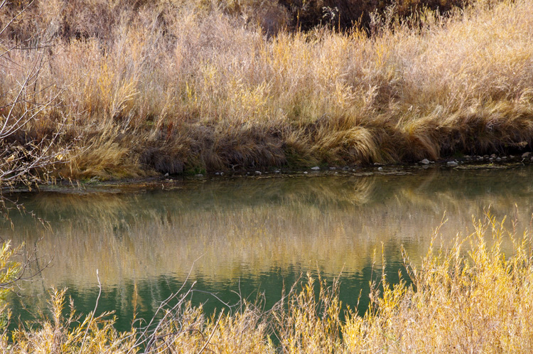 Rio Grande scene near Pilar, NM