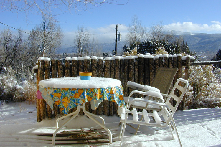 Just outside the back door on a snowy November 30th in 2004