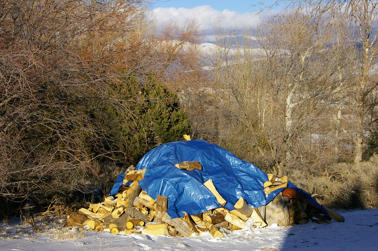 A woodpile equals warmth and survival in Taos, New Mexico.