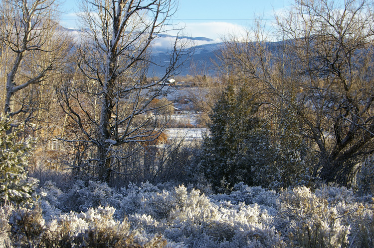 Snowy backyard in Llano Quemado, NM