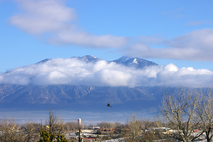 Taos Mountain and a magpie, yep...