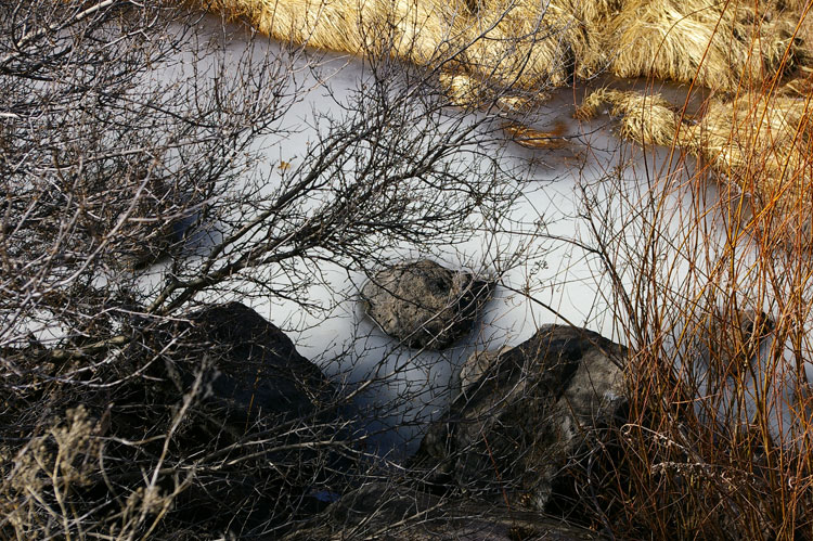 Rio Grande River above Pilar