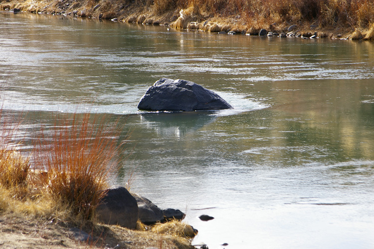 Rio Grande River above Pilar