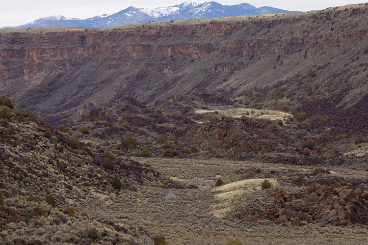 Down in the canyon of the Rio Grande