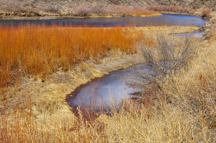 Rio Grande River above Pilar