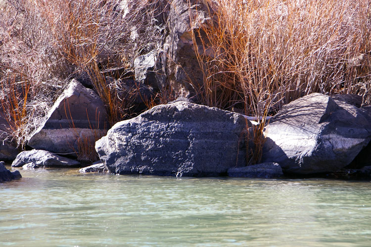 river rocks in the Rio Grande