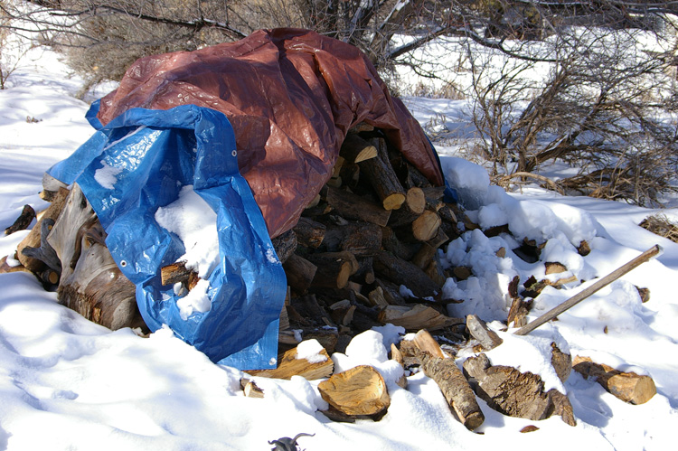 Llano Quemado woodpile