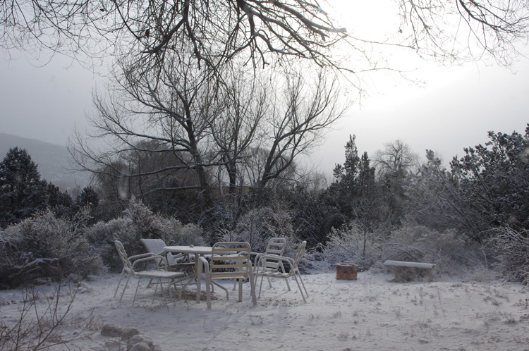 Llano Quemado backyard in February