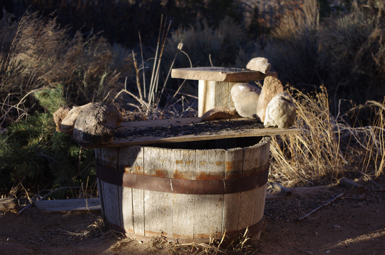 Bird feeder in Taos, NM