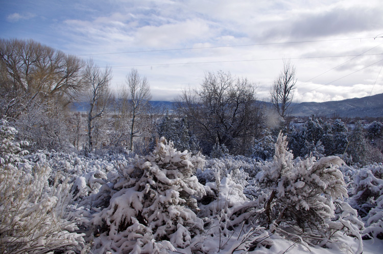 Llano Quemado backyard on the day before spring