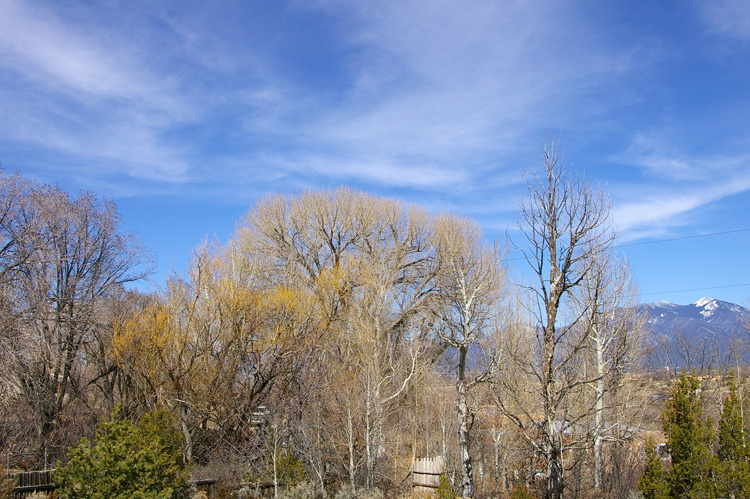 backyard view with Taos Mountain