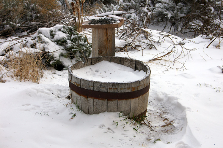 snowy planter, Taos, New Mexico