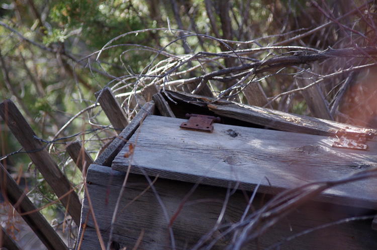 An old wooden something sits in the woods down by the acequia in Taos
