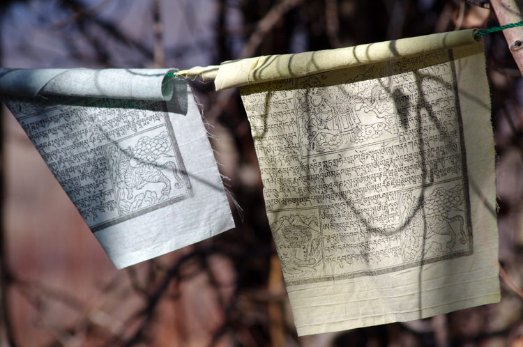 prayer flags by the acequia