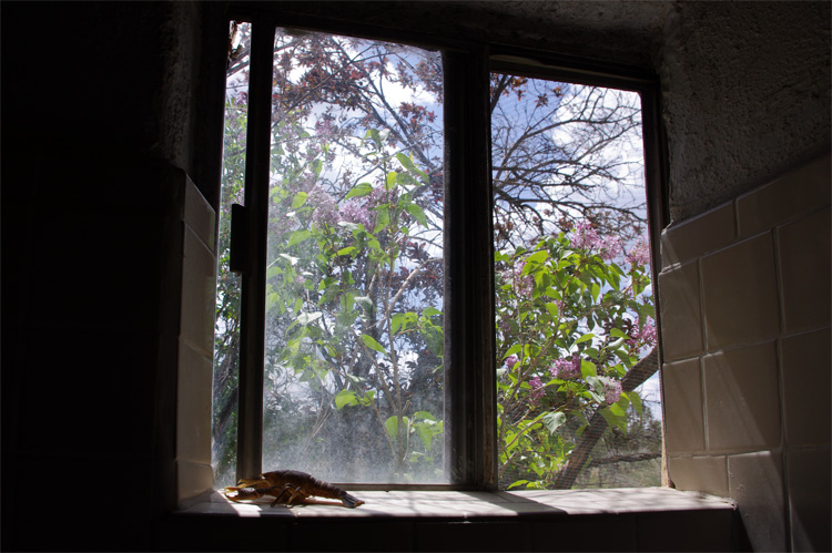 bathtub window in an old adobe