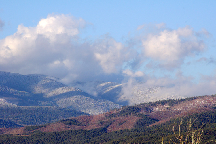 Springtime color on Pueblo land near Taos, NM