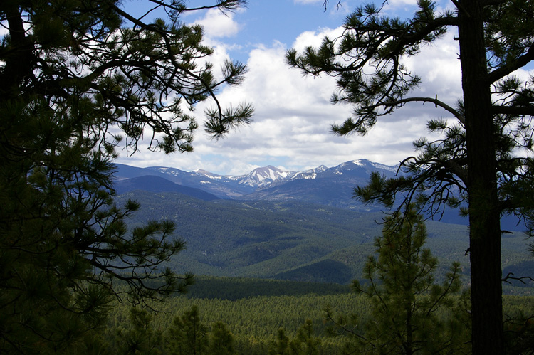 A view from Forest Road 114 on the south side of Picuris Peak