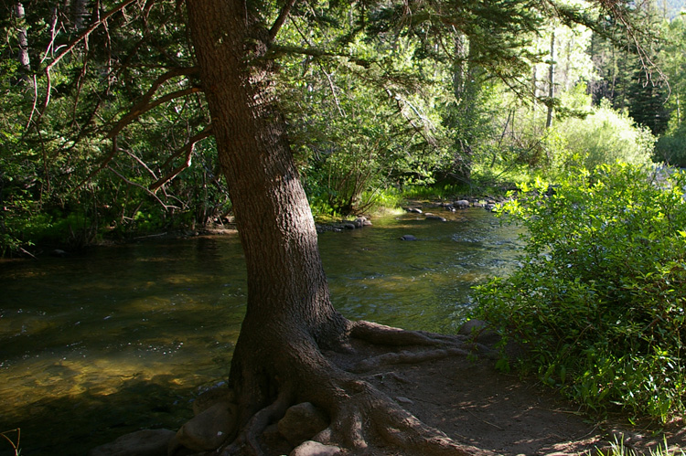 Rio Pueblo in eastern Taos County