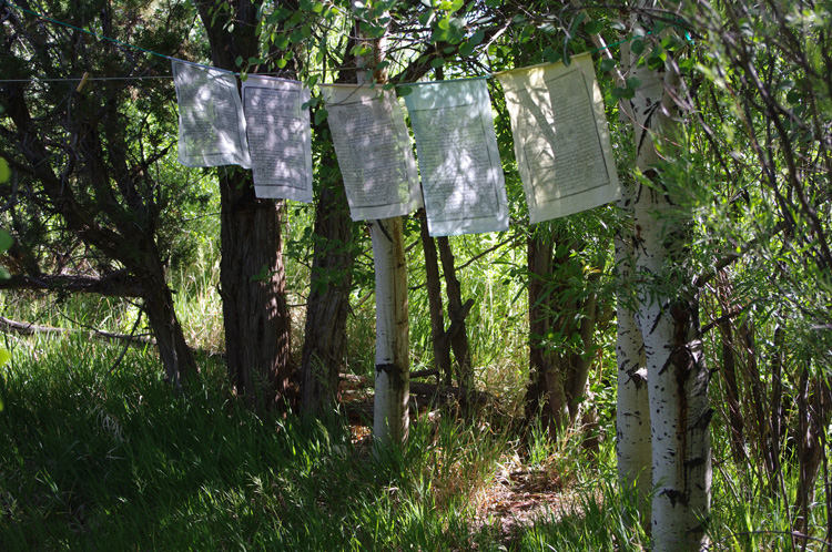 prayer flags by the acequia