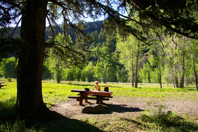 Rio Pueblo picnic area east of Taos, NM