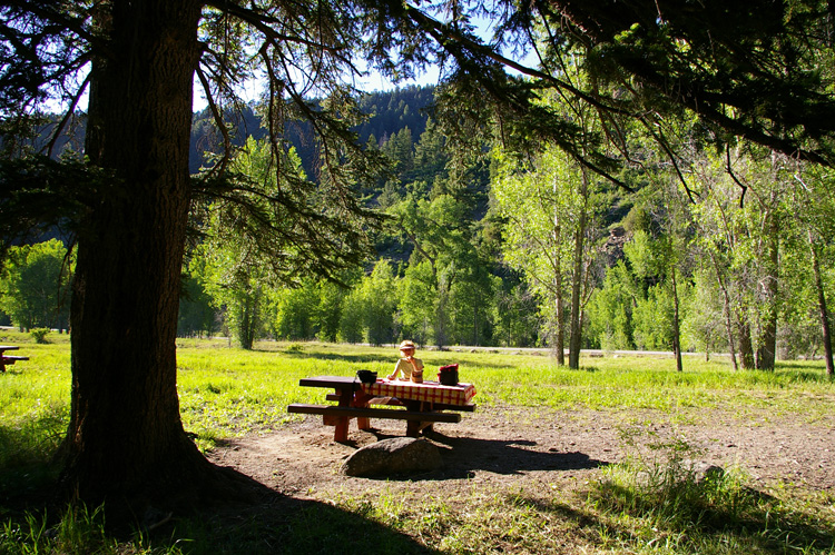 Rio Pueblo picnic area east of Taos, NM