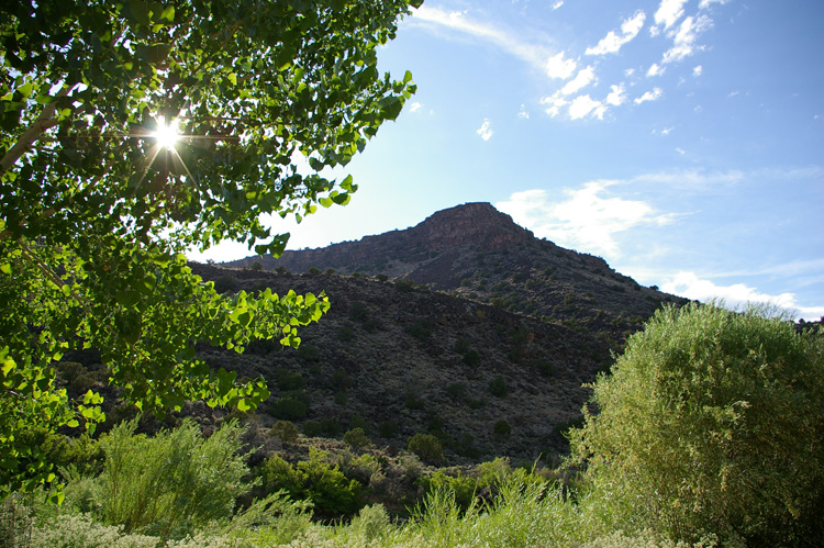 Looking at the west side of the Rio Grande from a picnic area near Pilar, NM