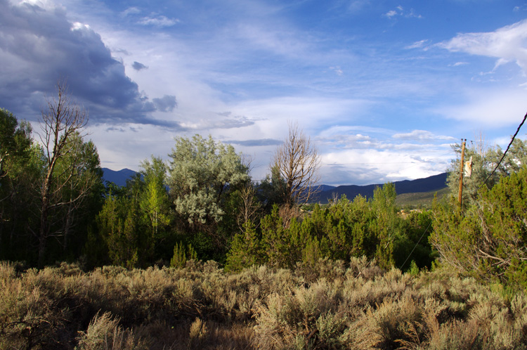 backyard in Llano Quemado