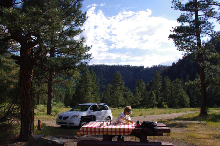 Picnic on Rt. 518