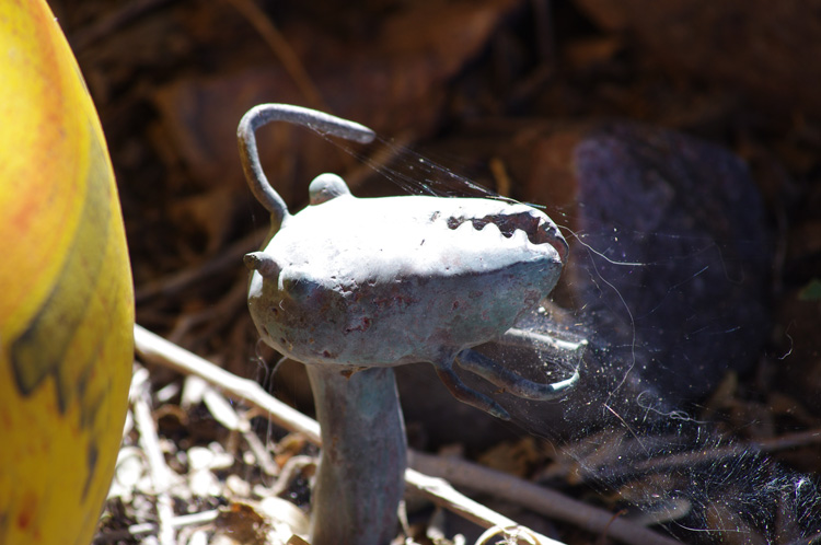 Cast bronze ant head