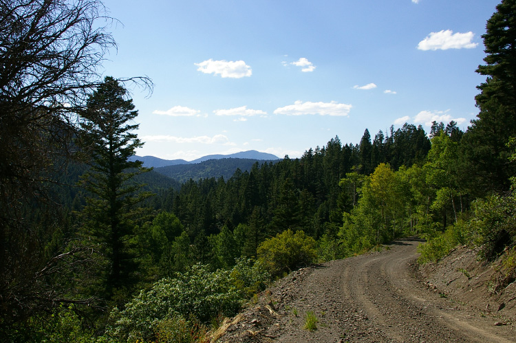 A stretch of Forest Road 439 in Carson National Forest near Taos, New Mexico.