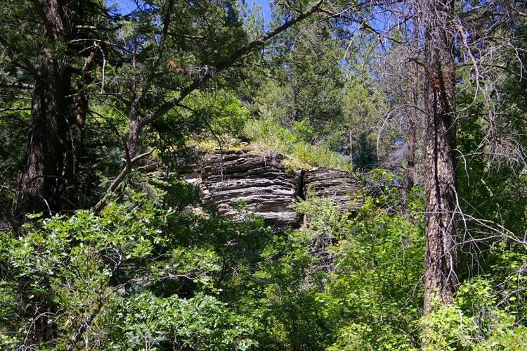 Nature speaks in the canyon of the Rio Grande del Rancho...