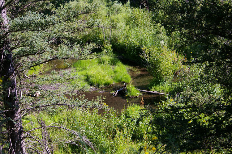 A glimpse of part of the Rio Grande del Rancho from high up in the mountains near Taos.